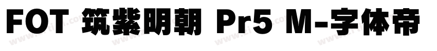 FOT 筑紫明朝 Pr5 M字体转换